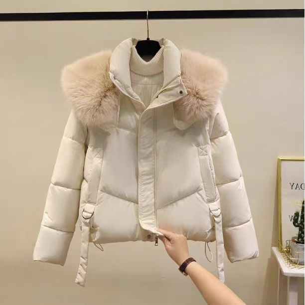Short Puffer Jacket with Premium Fur Collar
